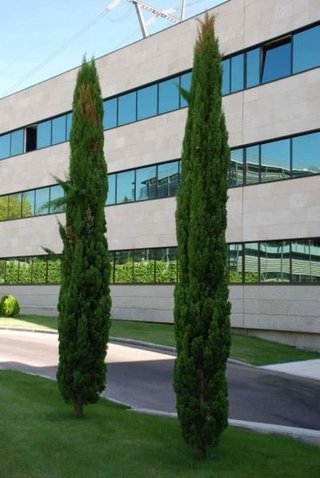 Oficina en alquiler en La Florida - El Plantío en Madrid