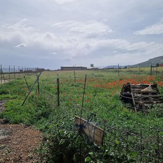 Terreno en venta en Yébenes (Los)