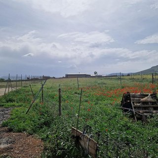 Terreno en venta en Yébenes (Los)