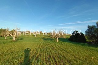 Terreno en venta en Manacor Centro en Manacor