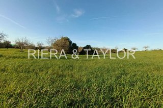 Terreno en venta en Manacor Centro en Manacor