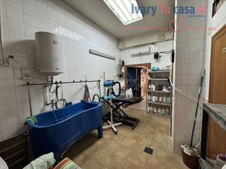 Local comercial en alquiler en Este en Castellón de la Plana