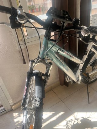 Bicicleta TOPBIKE 100