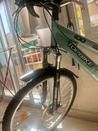 Bicicleta TOPBIKE 100
