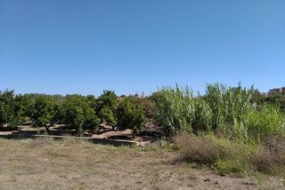 Terreno en venta en Sueca ciudad en Sueca