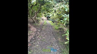 Terreno en venta en Almuñecar en Almuñécar