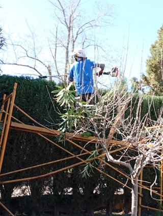 servicio de mantenimiento y limpieza del jardin