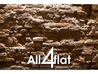 Piso en alquiler en Sant Pere, Santa Caterina i la Ribera en Barcelona