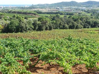 Terreno en venta en Mas Pere-Río de Oro en Calonge