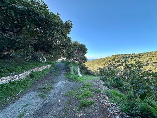 Casa rural en venta en Motril pueblo en Motril
