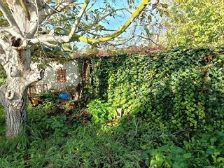 Casa rural en venta en Binissalem
