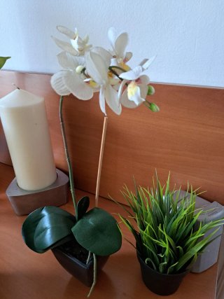 3 Piante Artificiali Ikea