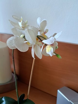 3 Piante Artificiali Ikea