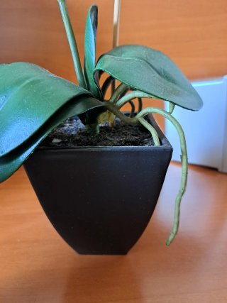 3 Piante Artificiali Ikea