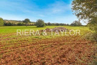 Terreno en venta en Manacor Centro en Manacor