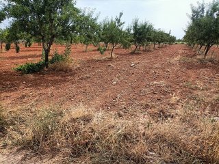 Terreno en venta en Mora