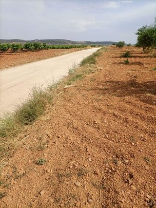 Terreno en venta en Mora