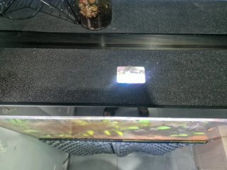 Acuario 100L con plantas