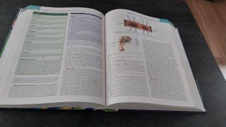 Fundamentos de enfermería