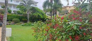 Piso en alquiler en Zona Botánico en Puerto de la Cruz