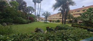 Piso en alquiler en Zona Botánico en Puerto de la Cruz