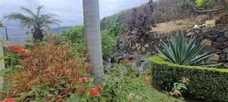 Piso en alquiler en Zona Botánico en Puerto de la Cruz