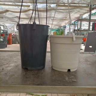 6 Vasi Basket Bianco e Nero Diametro 14-15cm