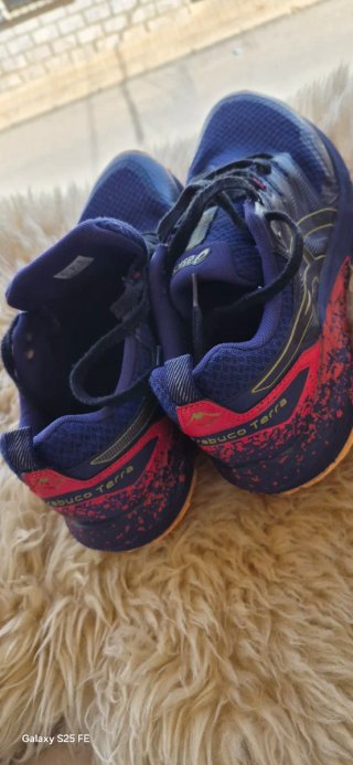 Zapatilla Asics Azul y Roja