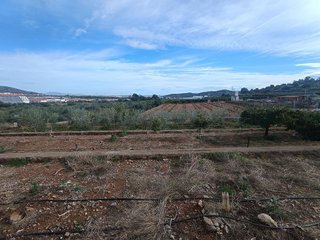 Terreno en venta en Vall d´Uixó (la)