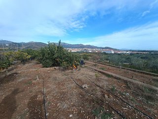 Terreno en venta en Vall d´Uixó (la)