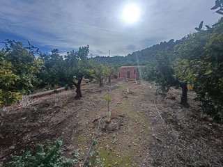 Terreno en venta en Vall d´Uixó (la)