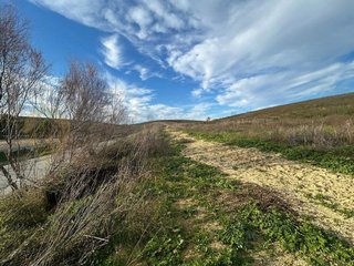 Terreno en venta en Oeste en Jerez de la Frontera