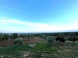 Terreno en venta en Rociana del Condado