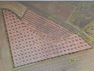 Terreno en venta en Rociana del Condado