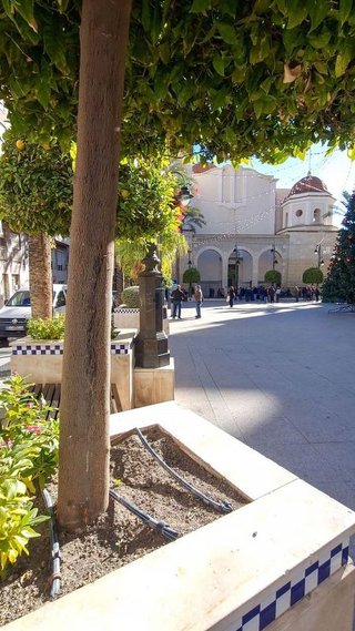 Terreno en venta en Crevillent