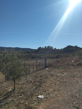Terreno en venta en Bullas