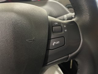 2008 STYLE BLUEHDI 100
