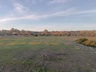 Casa rural en venta en Gerena