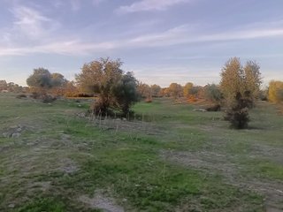 Casa rural en venta en Gerena