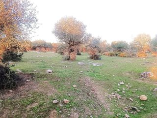 Casa rural en venta en Gerena