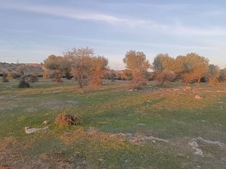 Casa rural en venta en Gerena