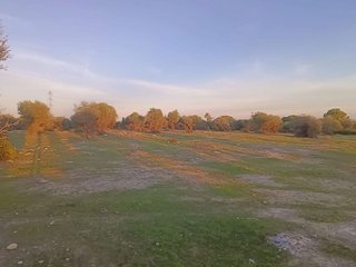 Casa rural en venta en Gerena