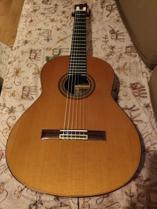 Guitarra Flamenca de Concierto Álvarez y Bernal