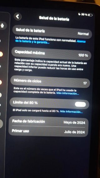 Apple iPad