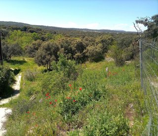 Terreno en venta en Colmenarejo