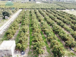 Terreno en venta en Pego