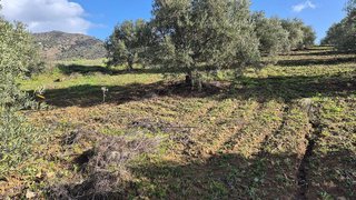 Terreno en venta en Pizarra