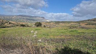 Terreno en venta en Pizarra