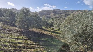 Terreno en venta en Pizarra