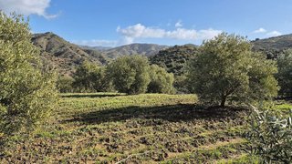 Terreno en venta en Pizarra